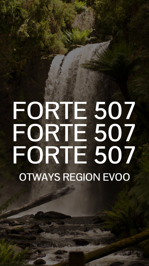 FORTE 507 - Otway Ranges