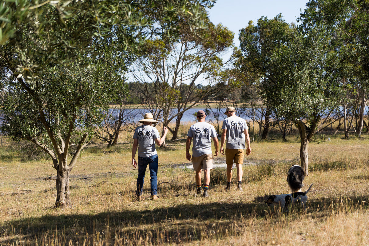 Growers walking through the grove